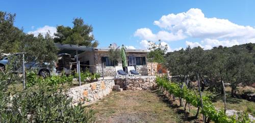 Susica House | Kuća Paradise- Robinson