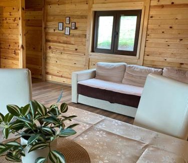 Zlatibor House | Kuća za odmor