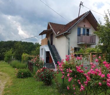 Pozega House | Kuca - STUDIO