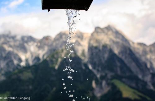 Leogang Apartment | KUCKUCK Leogang by we rent