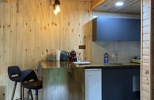 Ayder Yaylasi Ski Chalet | Kukudi House