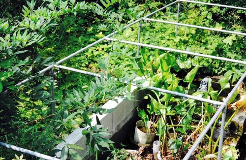 Mashiki House | Kumamoto Farm Stay Guest Room 2F - 2F/Kamimashiki-gun Kumamoto