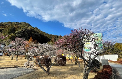 Yudaonsen House | -kyoto in the West A Private Villa in Yuda Onsen, Yamaguchi Prefecture-