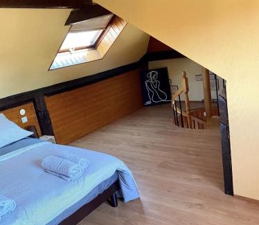 Mulhouse Apartment | L’Alsacien Cosy : Duplex - Netflix - Wifi/Fibre