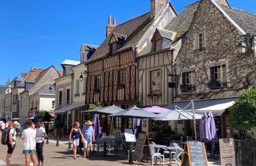 Amboise House | L'Amboisienne, Au pays des châteaux