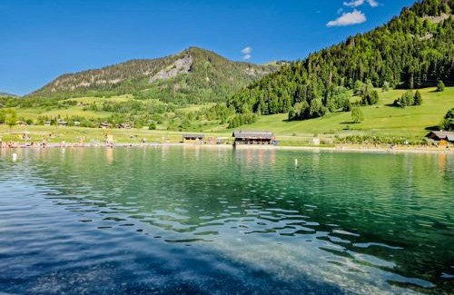 Praz-sur-Arly Apartment | L'Envol de Praz - Proche pistes et base de loisirs