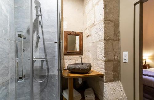 Bourges Apartment | L'Hôtel de Panette - La Charpente climatisée Renaissance - cathédrale