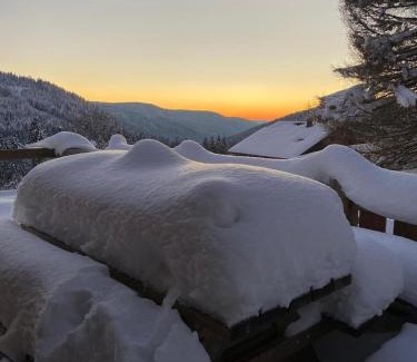 Gerardmer Ski Chalet | L'instant chalet Lodge 17