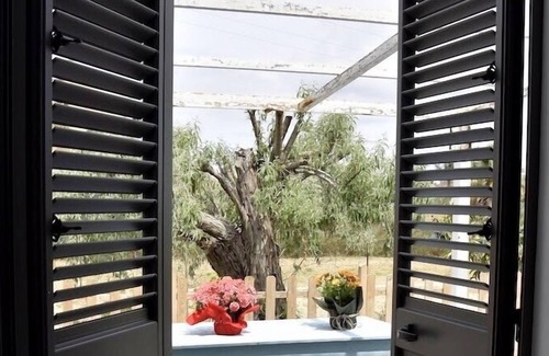 Marsala House | La Casa Andre