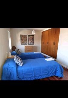 Leon Apartment | La casa curiosa