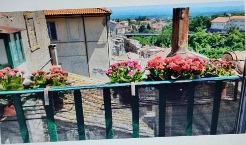 Caprarola Apartment | La Casa del Sole