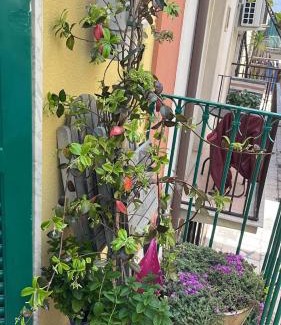 Mola di Bari House | La Casa di Nonna Sisina