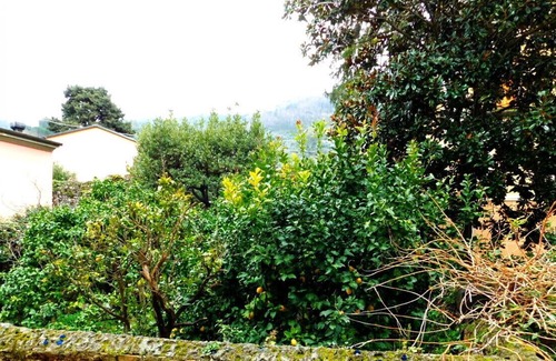 Dosso Apartment | La Casa di Rosella