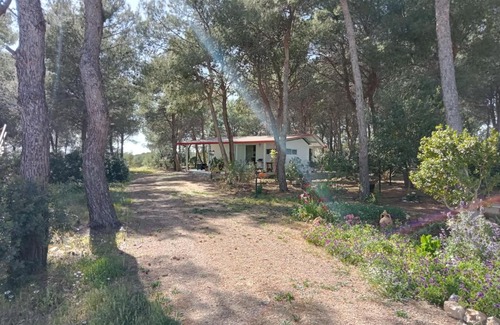 Maruggio House | La casa nella pineta