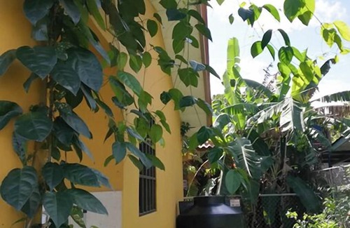 San Juan Bautista House | La Casita Amarilla, A Small Two Bedroom Home