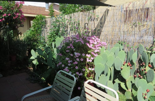 Bisbee House | LA CASITA: Charm/Privacy, Stunning Patio, pet friendly