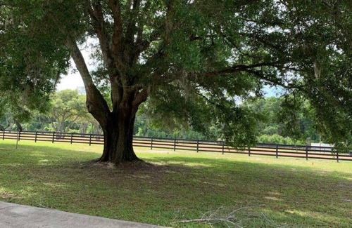 Summerfield House | LA CASITA SUMMERFIELD, OCALA, FL.nnnnn