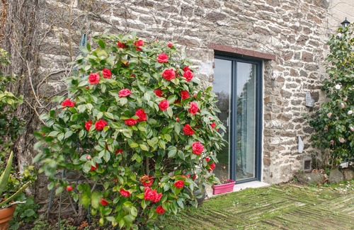 Langrolay-sur-Rance House | La Esnaudière - Maison à moins d’un km du Rance