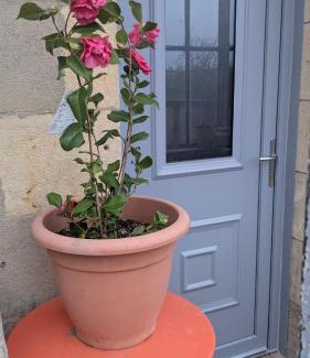 Chevenon House | La gargolette