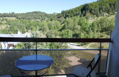 Villard-de-Lans Apartment | La Grande Moucherolle bis