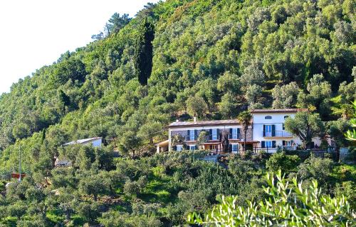 Vicopelago House | La Lucertola