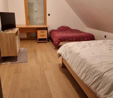 Henin-Beaumont House | La maison lumineuse