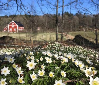 Vilshult Bed & Breakfast | La Maison Rouge de Slätten Bed and Breakfast
