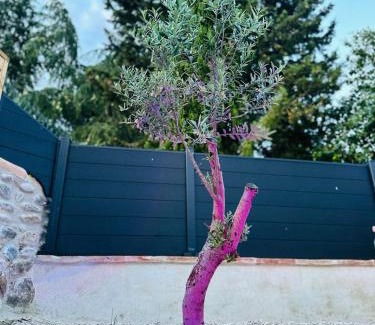 Foix House | La Maisonnette de Mouragues