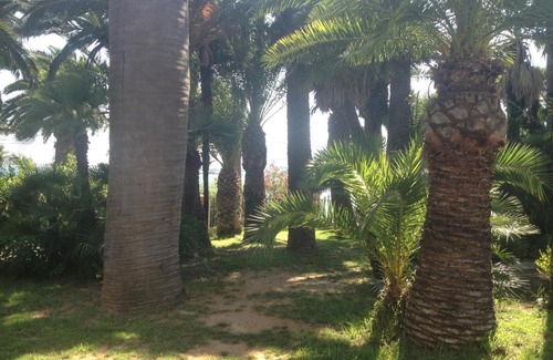 La Seyne-sur-Mer House | La Mandarinette
