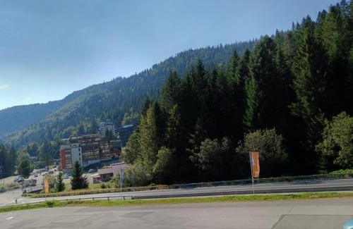 La Bresse Apartment | La marmotte
