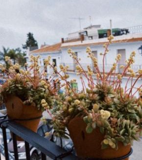 Frigiliana Apartment | La morada de Rosafina