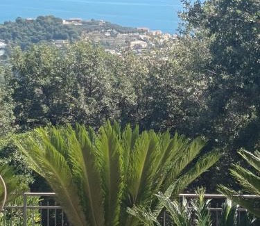 Cipressa Apartment | La Quiete nel Bosco