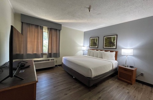 Tampa Hotel | La Quinta Inn & Suites by Wyndham Tampa Brandon West