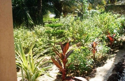 Cap Skirring House | LA Réserve Large house Cap Skirring with swimming pool