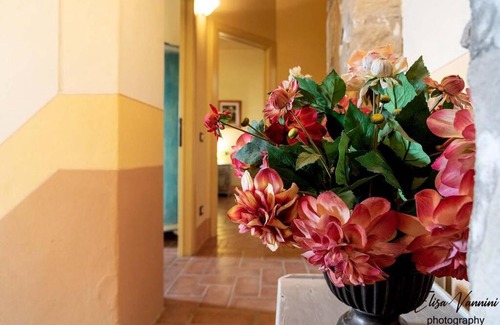 Peccioli Apartment | La Tana Buona
