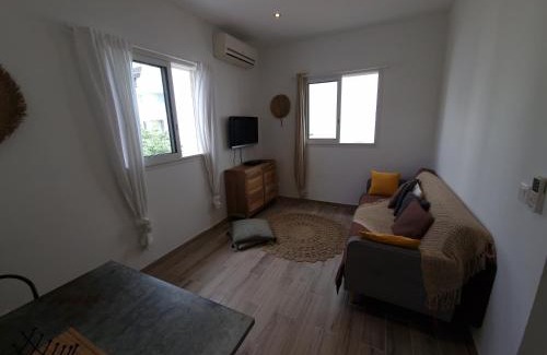 Saint-Denis Apartment | La Terrasse des manguiers