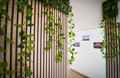 Pinetamare Bed & Breakfast | La Terrazza - Rooms