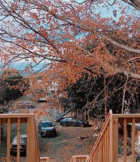 Wilkes-Barre Apartment | Labelle