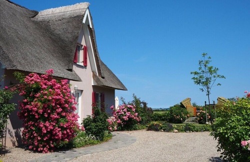 Zierow Apartment | Lady and the Tramp Comfortable Vacation Home