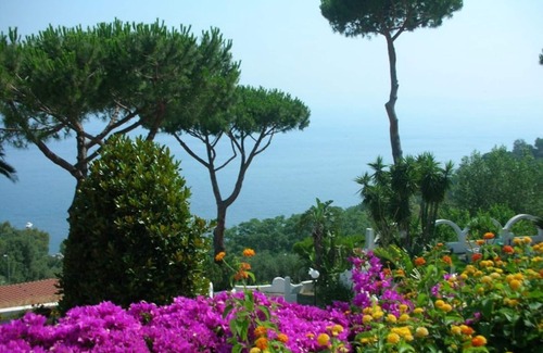 Casamicciola Terme Villa | Lady Bouganvillea, private villa to rent in Ischia island