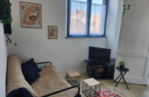 Besancon Old Town Apartment | Laelia place Rivotte