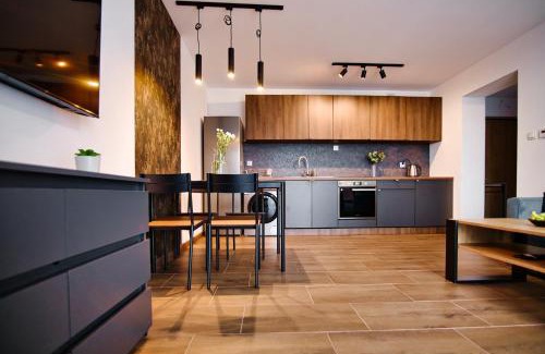 gmina odygowice Apartment | Laguna Beskidów Resort - Apartament A85
