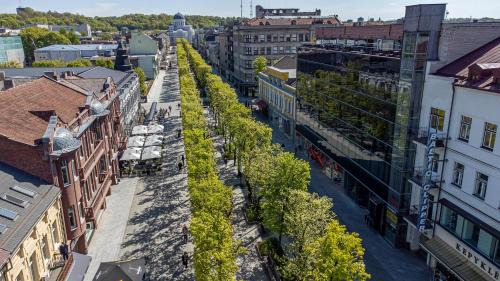 Liberty Avenue Apartment | LAISVĖ BOUTIQUE APARTMENTS