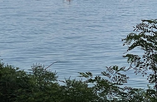 Stoney Creek Cottage | Lake Front Heaven Niagara - Stoney Creek