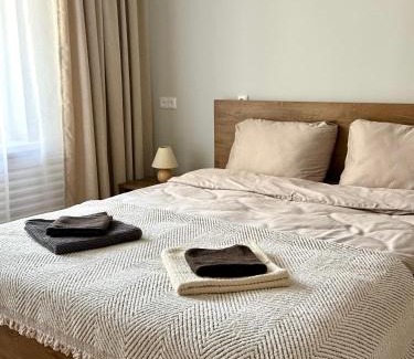 Zarasai Apartment | Lake Town apartments