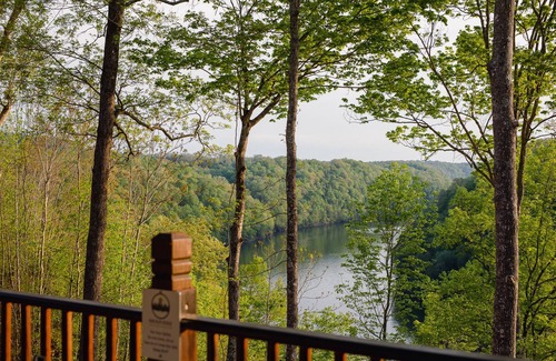 White County Cabin | Lake View Nature Cabin at Bear Bluff Retreat