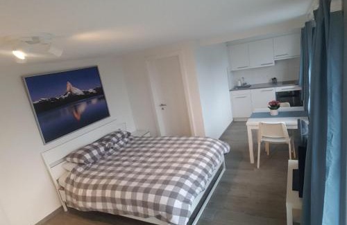 Horgen District House | Lake View Private Studio