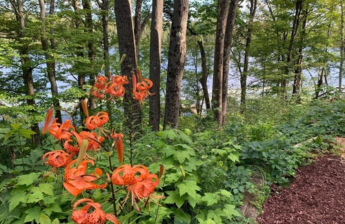 Arden House | Lakefront Chalet located on 70 private acres of Beautiful Canadian Shield