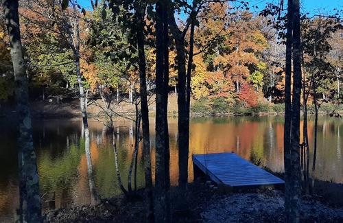 Crossville Cottage | Lakefront Cottage: Pets welcome, low fees, special monthly discount