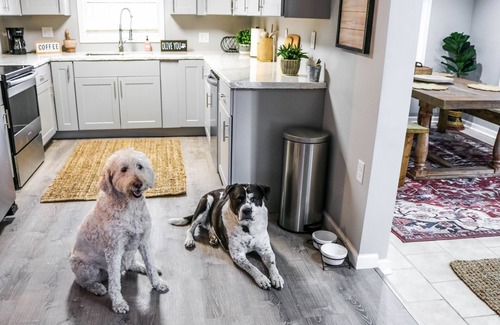 LaPlatte I House | Lakefront Cottage